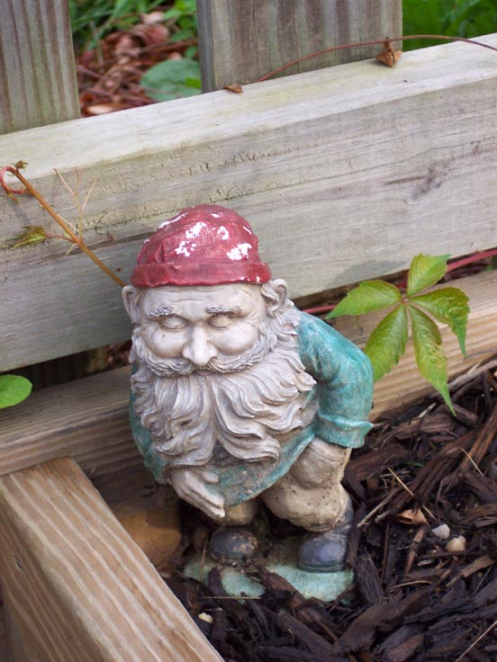 040623%20farting%20gnome.jpg