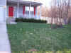05crocus-lawn.jpg (77245 bytes)