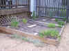 05herbs.jpg (1407747 bytes)