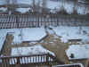 05snowygarden1.jpg (60325 bytes)