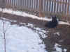 05sparky-mud.jpg (49876 bytes)