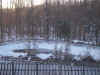 05woods1.jpg (91796 bytes)